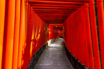 稲荷神社の鳥居