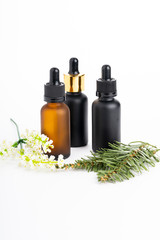 Natural  cosmetics concept: Cosmetics with grean leaves isolated on white