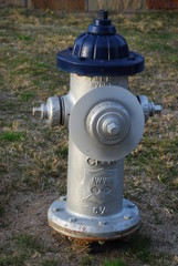 Fototapeta na wymiar dallas fire hydrant