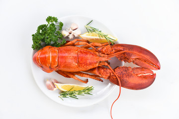 Red lobster dinner seafood with herb spices lemon rosemary served table in the restaurant gourmet food healthy boiled lobster cooked - Fresh lobster food on a white plate background