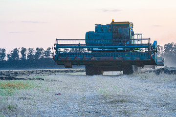Naklejka premium Harvesting in a wheat field combine.