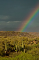 Fototapeta na wymiar Rainbow In The Desert 2-1