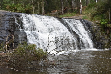 waterfall in forest