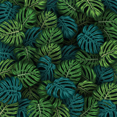 Obraz na płótnie Canvas Tropical summer leaves background with jungle plants