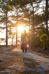 27 January 2020-Thai::traveller is ride a bicycle for sightseeing in forest