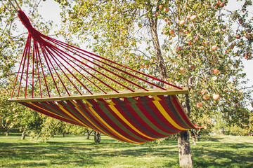 Multi-colored hammock on a sunny day against the backdrop of an apple orchard.