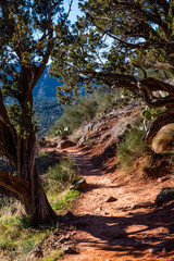 Sedona Arizona Landscape