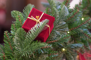 Red gift box and green spruce branch