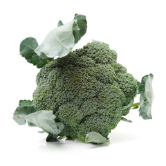 Broccoli vegetable on white background 