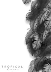 Tropical summer leaves background with jungle plants