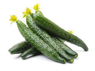 cucumber isolated on white background