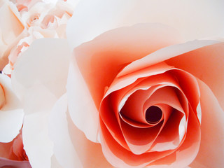 pale pink rose paper model background