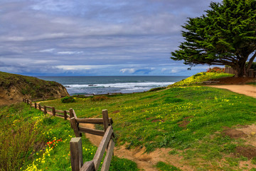 Fototapeta na wymiar Path leading to the Pacific Ocean in Northern California over a hill with spring flowers, Moss Beach near San Francisco