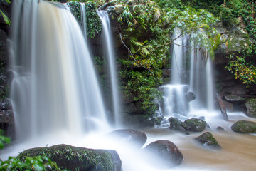 waterfall in the forest