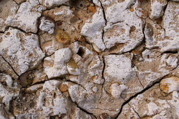 Old concrete wall with deep cracks. White paint, brown stones, bumps. Primary colors - Sorrell Brown, Alto.