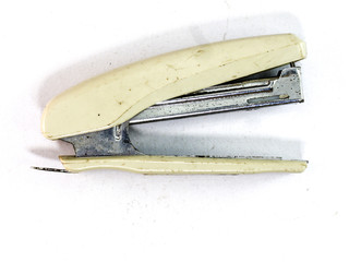 staple On a white background.
