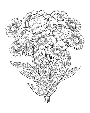 Peony chamomile flower graphic black white isolated bouquet sketch illustration vector