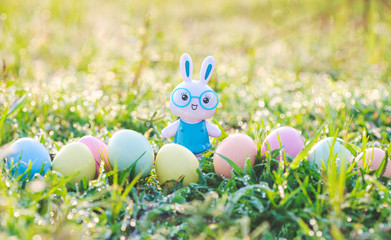 Little Bunny and easter eggs on meadow,