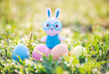 Little Bunny and easter eggs on meadow,