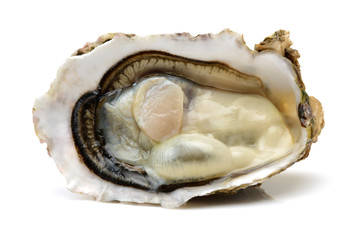 Fresh opened oyster on white background