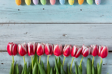 Easter background. Colored easter eggs on blue wooden background with copy space. Beautiful tulips