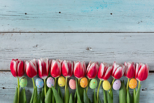 Easter background. Colored easter eggs on blue wooden background with copy space. Beautiful tulips