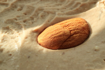 Image of almond nut on a chocolate curd dessert.