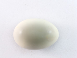 White duck egg on a white background.