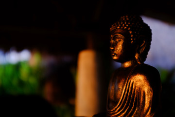 buddha at night
