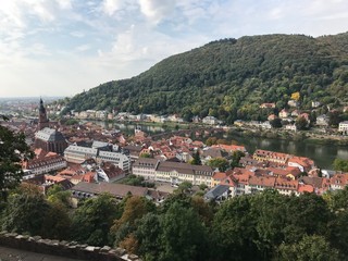 Vista de Heidelberg desde la altura