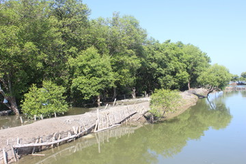 Fototapeta premium milkfish fishing pond, in the East Java district of Sidoarjo, Indonesia