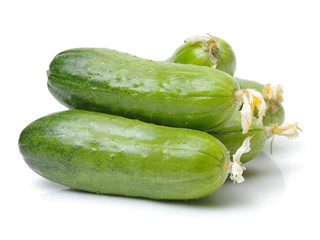 Green cucumber on the white background