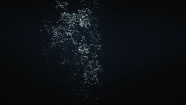 Falling mango in the water on black background