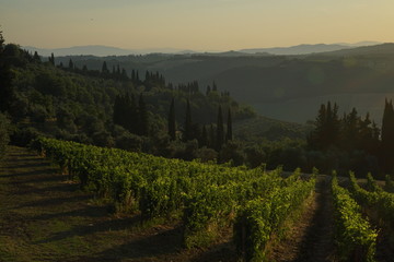 Naklejka premium morning in the mountains