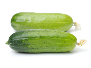 Green cucumber on the white background