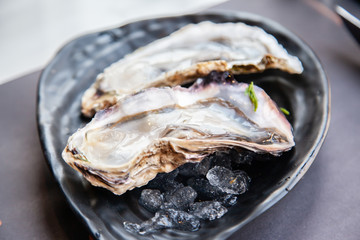 Fresh raw oyster shell on ice