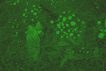 Green background with air bubbles underwater.