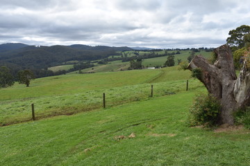 landscape in Gippsland