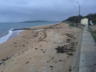 sea wall and beach