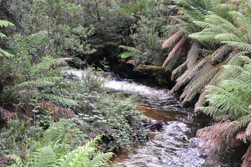 River near Mt Baw Baw