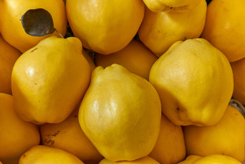 Fresh and organic quince in the local market