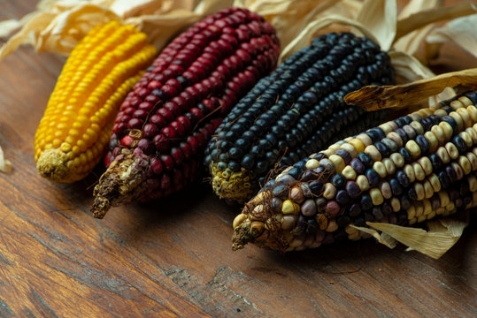 mazorca de maiz organico mexicano latinoamerica alimento ancestral 