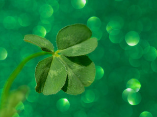 Four leaf clover on sparkling green background