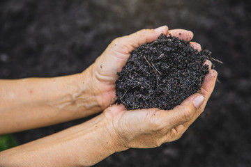 Hand holding soil,Hand dirty with soil. Bunch of good soil in hands on ground background. Closeup hand of person holding abundance soil for agriculture or planting peach concept.
