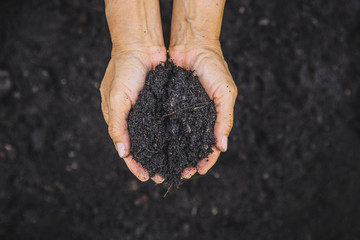 Hand holding soil,Hand dirty with soil. Bunch of good soil in hands on ground background. Closeup hand of person holding abundance soil for agriculture or planting peach concept.