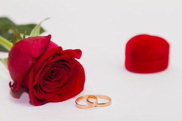 Single red rose on white background. Gold engagement rings and velvet box shaped heart near.