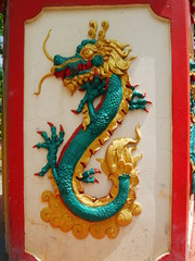 Green dragon spinning pictures