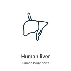 Human liver outline vector icon. Thin line black human liver icon, flat vector simple element illustration from editable human body parts concept isolated stroke on white background