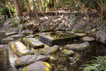 井の頭公園　お茶の水