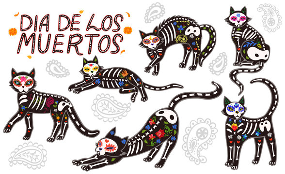 Set of cats of the day of the dead isolated on white background lettering in spanish day of the dead. Vector graphics.